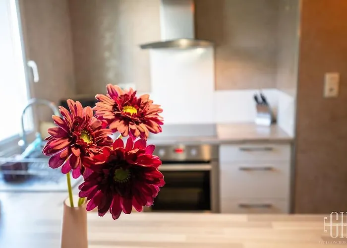 Le Dahlia / Jardin Botanique