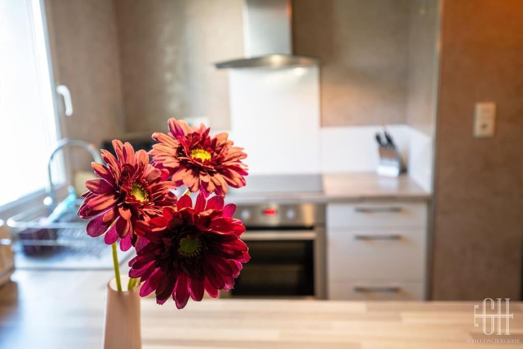 Le Dahlia / Jardin Botanique